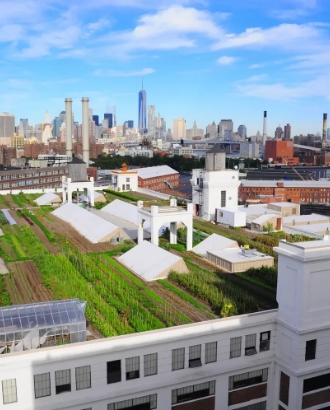 Brooklyn Grange Navy Yard